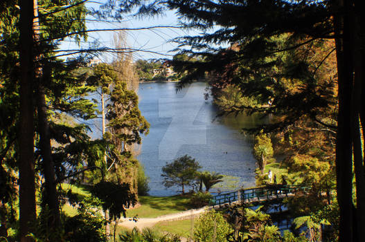 Lake landscape