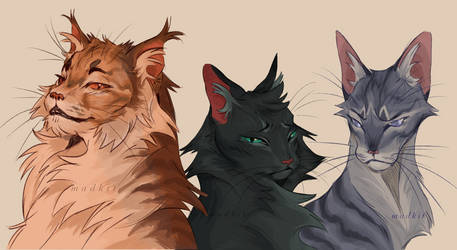 Lionblaze, Hollyleaf, Jayfeather