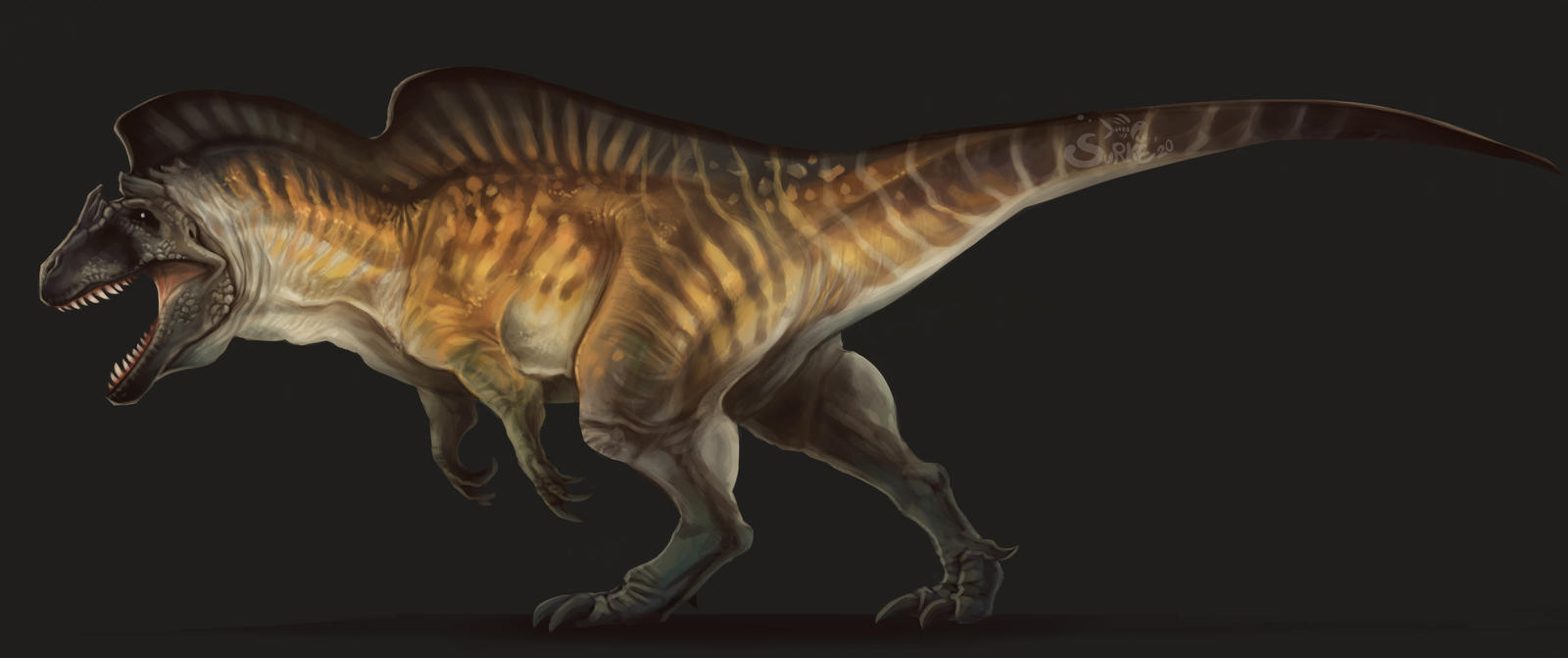 acro by Surk3 on DeviantArt