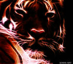Tiger by joshi1404
