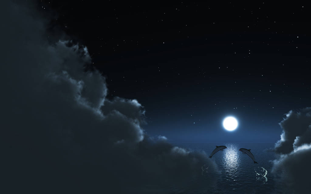 Dolphin play_wide by relhom
