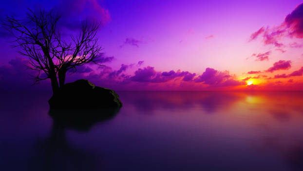 Maldivian Sunset_4K UHD