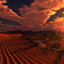 Desert heat