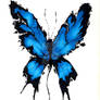 Butterfly_Ashes