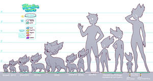 Species Guide : Eyre Size Chart