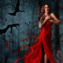 The girl and the dragons