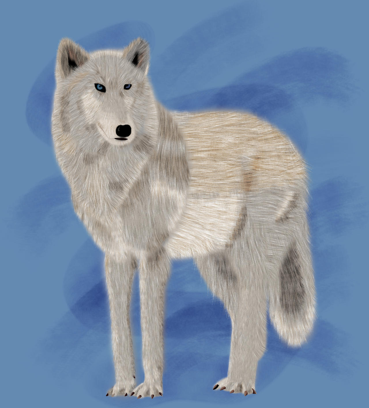 Wolf by silverringfly on DeviantArt