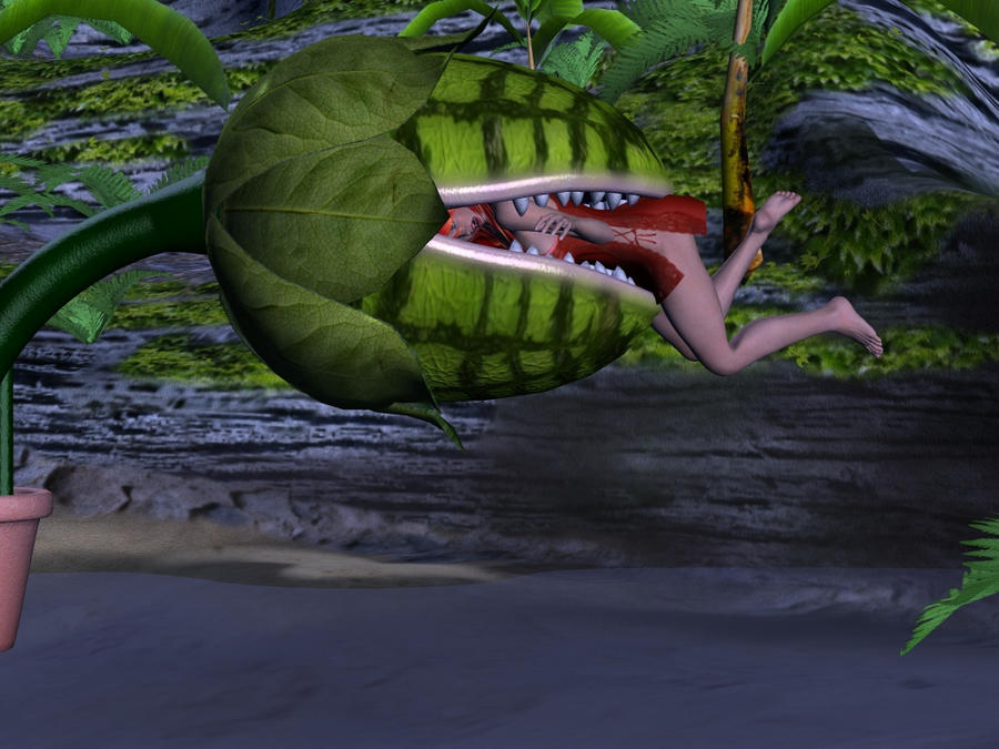 Kiani And The Hungy Plant By Qs Vore Guy On DeviantArt kiani-and-the-hungy-plant-by-qs-vore-guy-on-deviantart