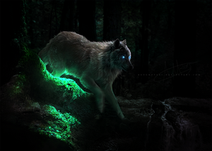 COM: the heart of another is a dark forest by redemptari COM: the heart of another is a dark forest by redemptari
