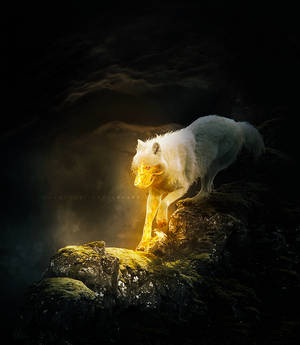 the fire within by redemptari the fire within by redemptari