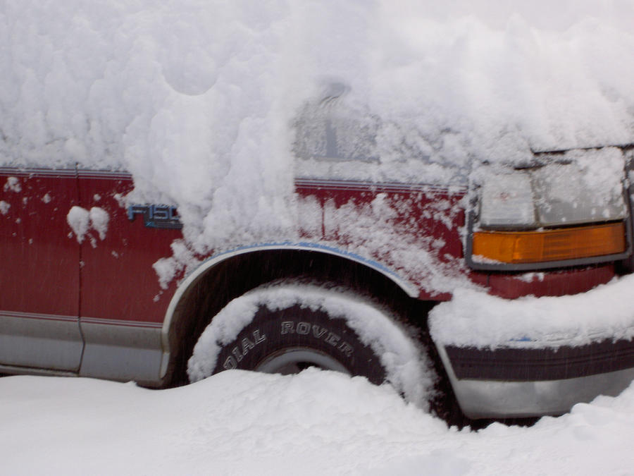 Bumper Deep in the Snow