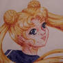 usagi: colored ink