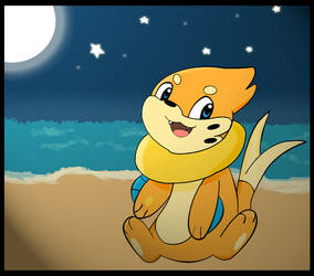 Buizel