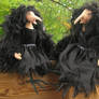 Crow Ladies..2 for mirth