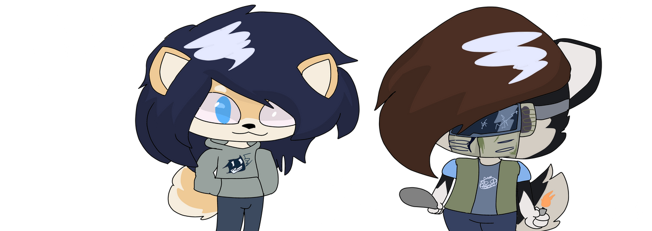 Kevin the shiba 2024 inu