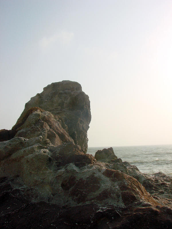 rock 'n sea-stock