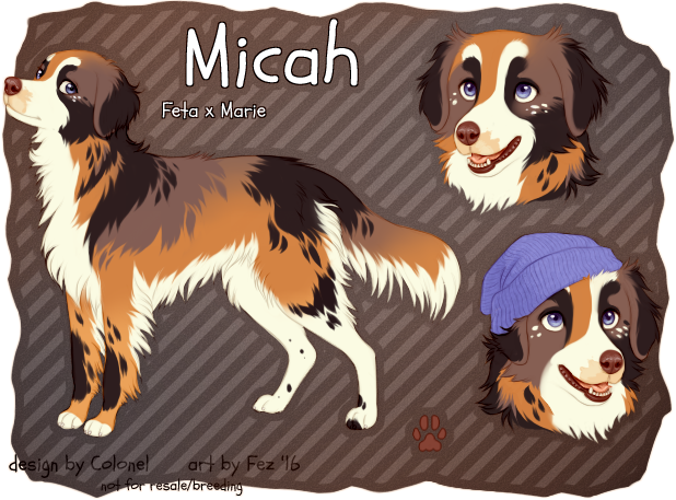 Micah