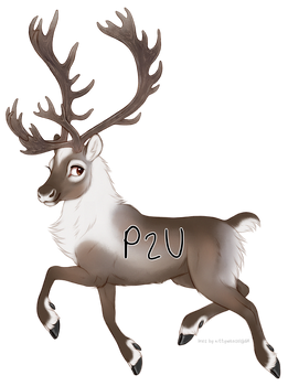 P2U Reindeer