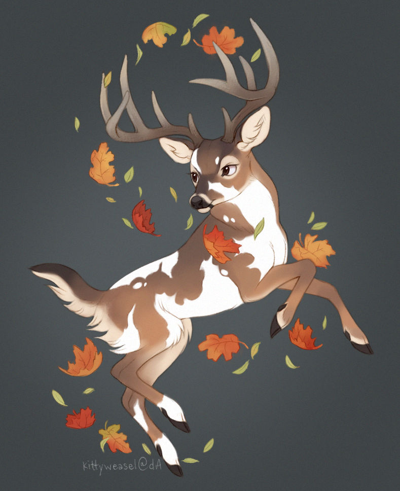 Deviantart Fall Autumn by seffawn on DeviantArt