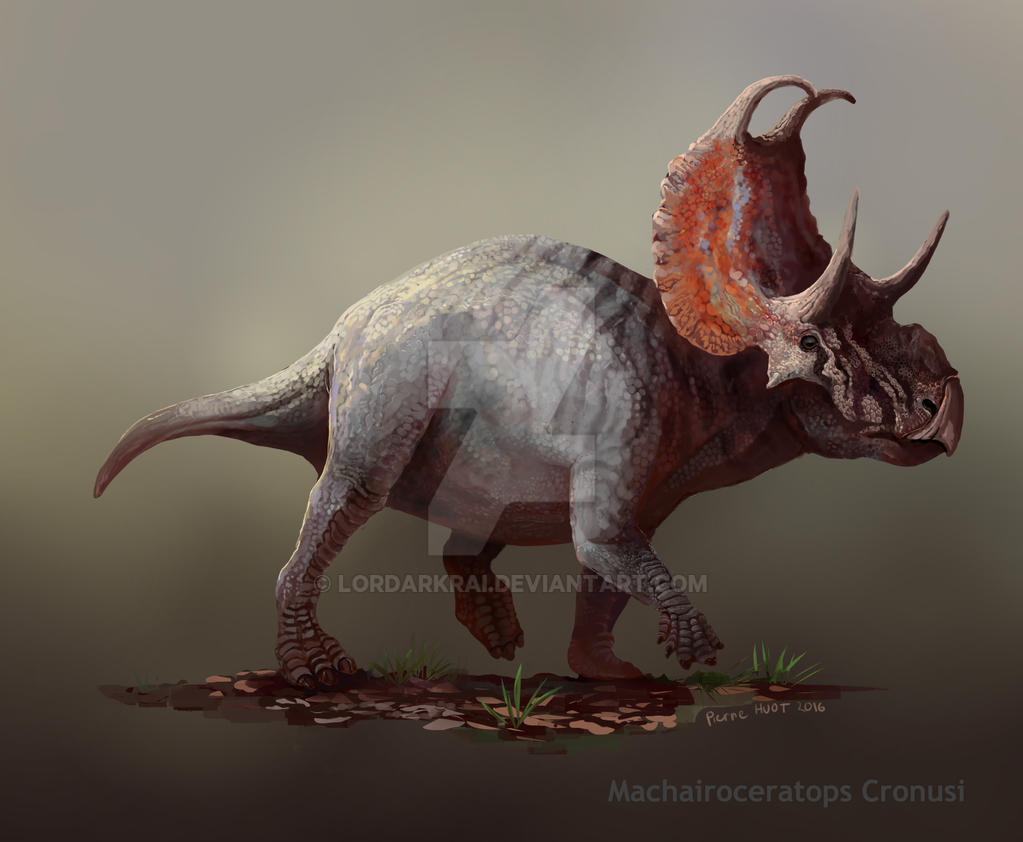 Machairoceratops Cronusi