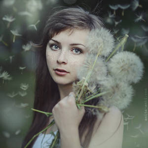 Dandelion by anyaanti