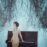 Winter Symphony by anyaanti