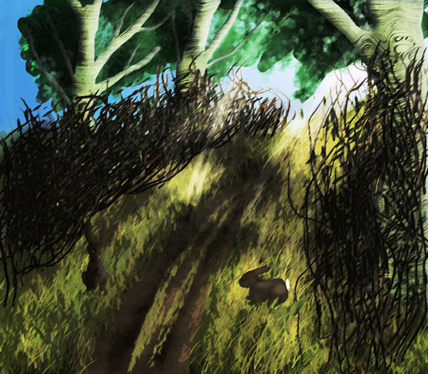 Rabbit Path The Rabbit Path by Dorielf on DeviantArt