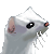 Ermine