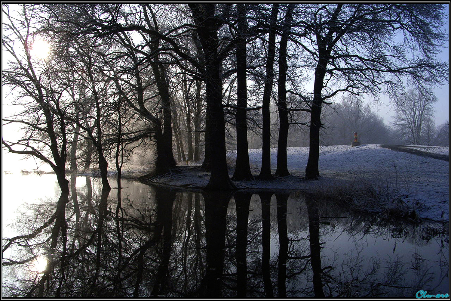 Winter Reflection