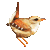 Wren