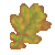 Oak Leaf