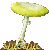 Death Cap