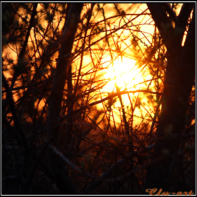 Framed Sunset