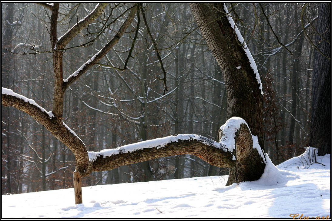 Old Winter Bender by Clu-art