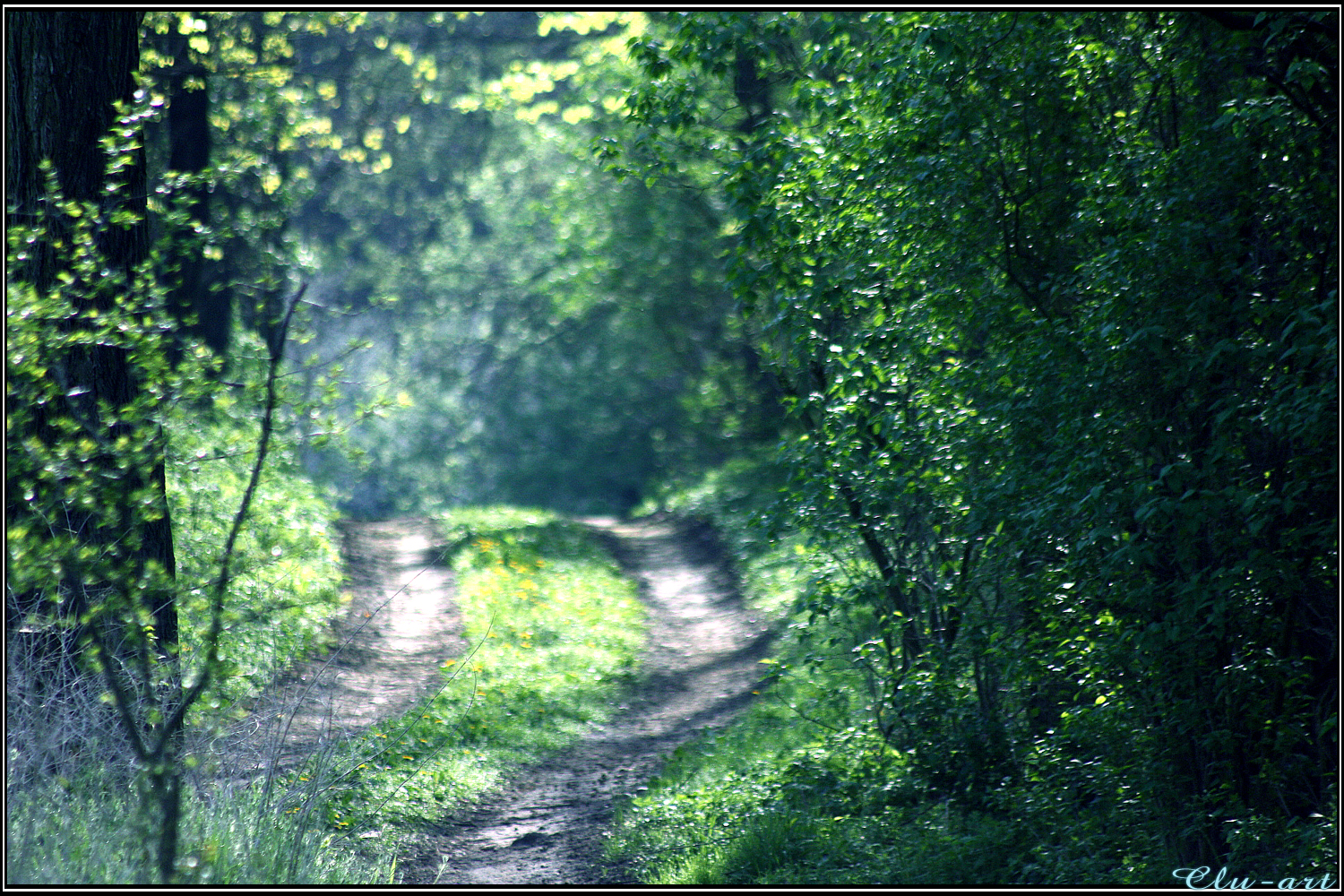 A Mellow Morning in May