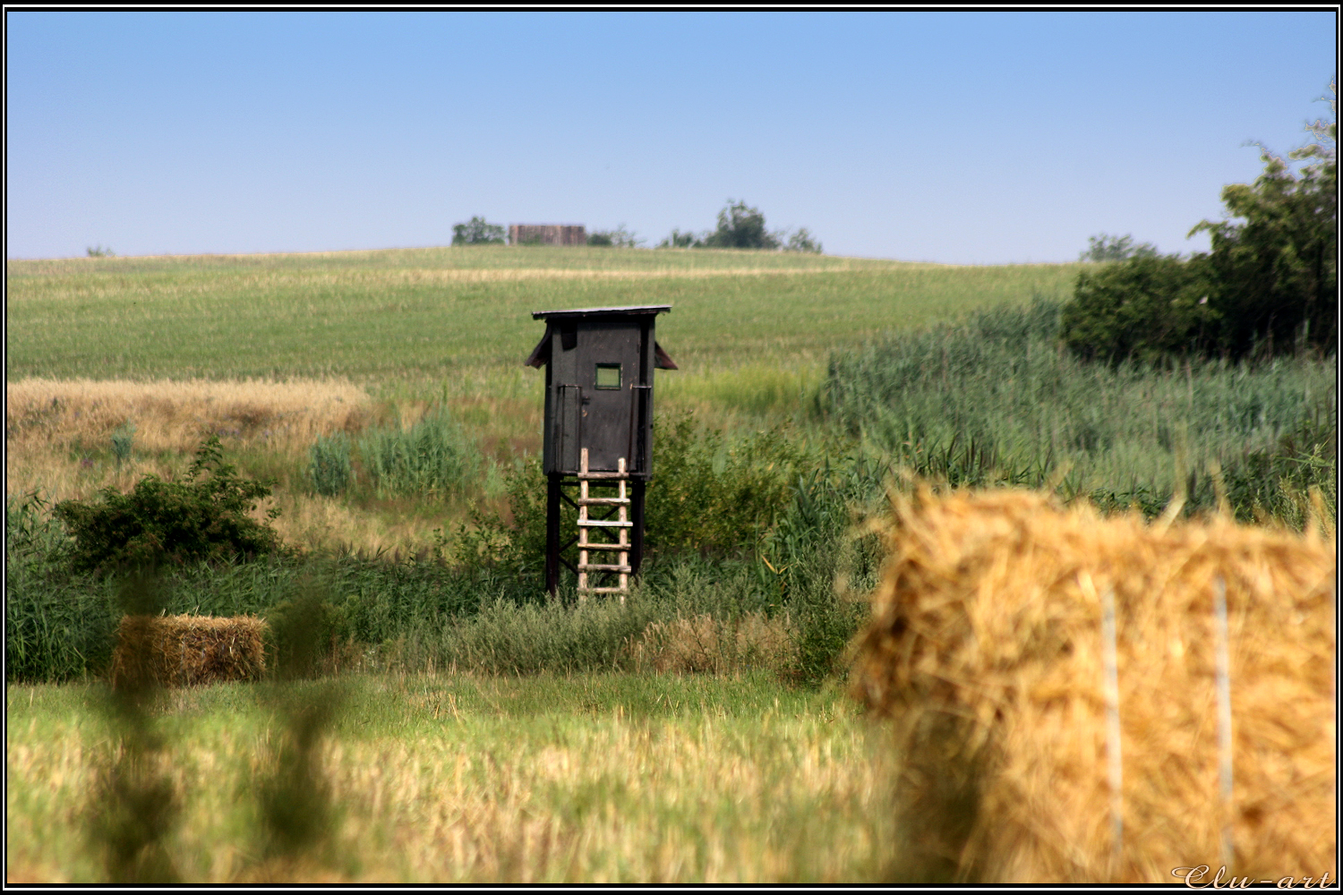 Zoomed Hunting Stand