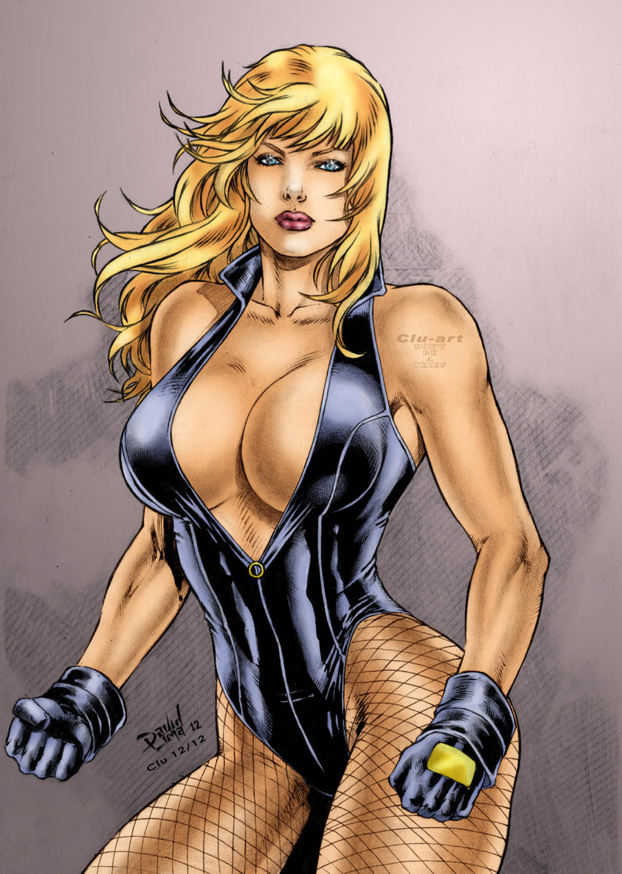 DC's Black Canary