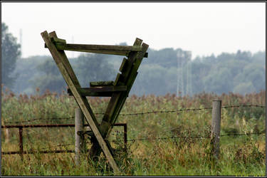 Along the Fence