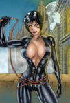 DC's Catwoman