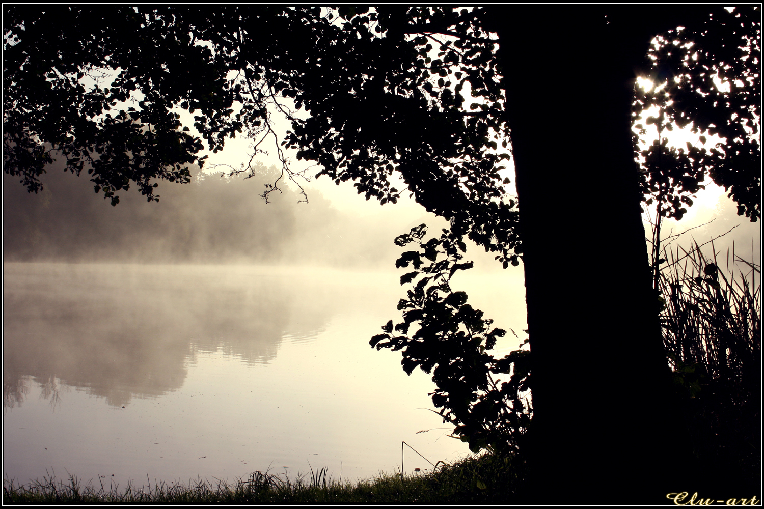 Golden Morning Lake