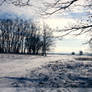 Winter Noon Wallpaper