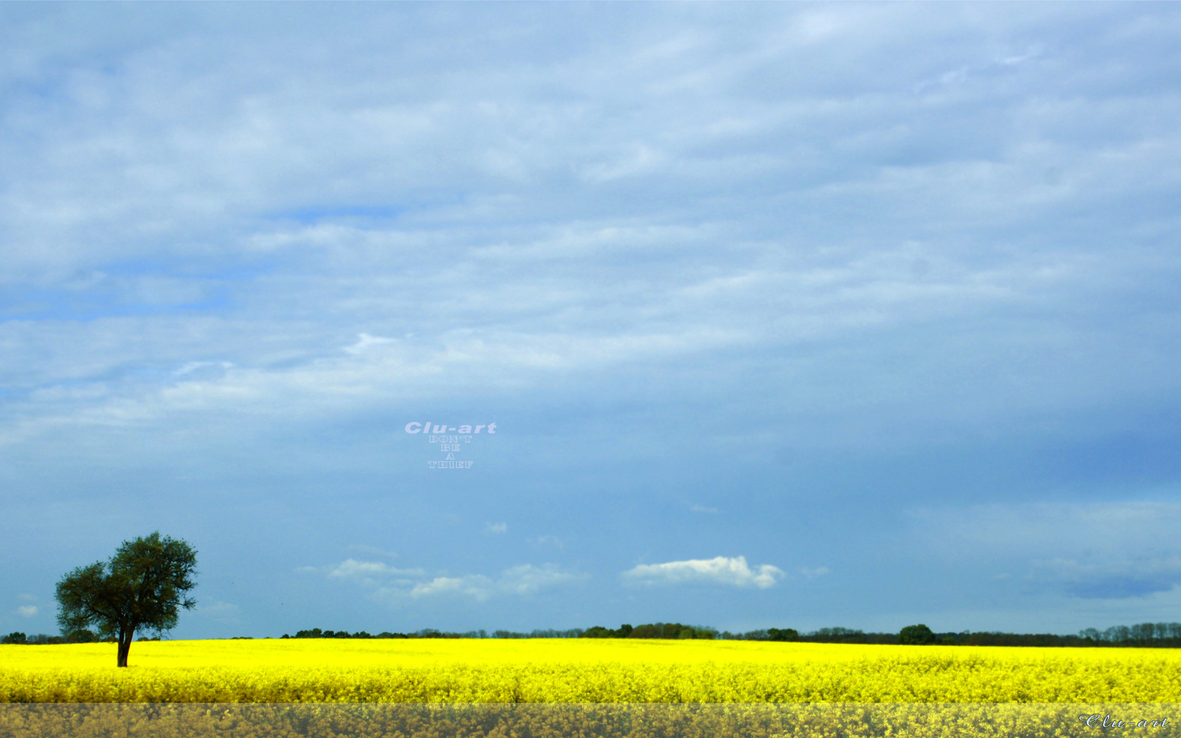 Spring Fields Wallpaper