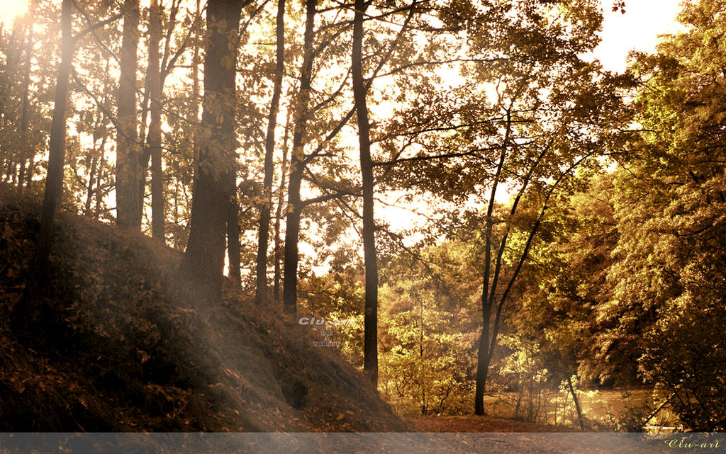 Edge of Autumn Wallpaper by Clu-art