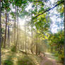 Autumnal Sun Shower