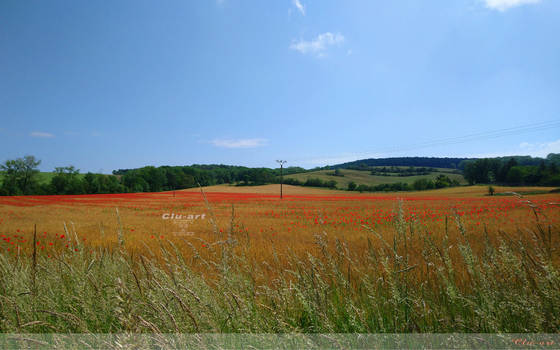 Rural Summer Wallpaper