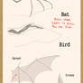 How to draw wings