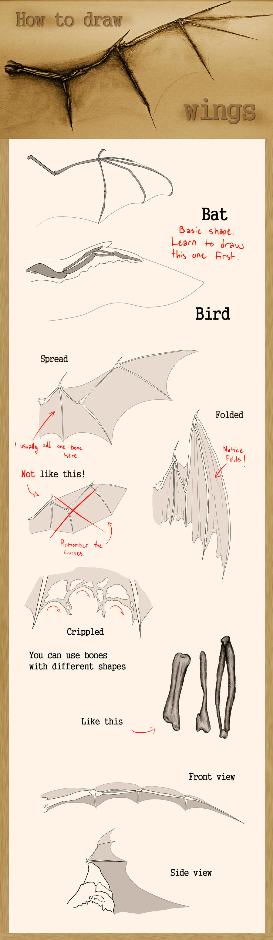 Drawn Wing Tutorial How to draw wings by Mndcntrl on DeviantArt