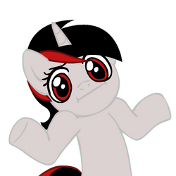 Blackjack Shrug Pony