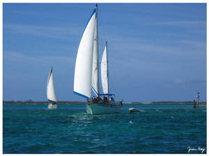 Sail Bahamas