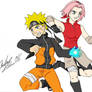 NaruSaku Fighting